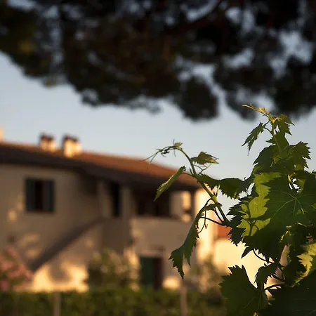 Feriegård Quattro Pini Castagneto Carducci