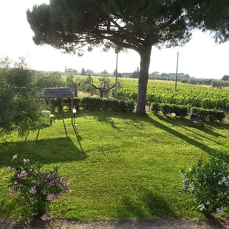 Quattro Pini Castagneto Carducci