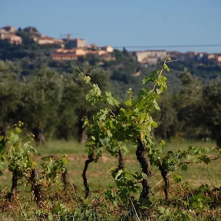Feriegård Quattro Pini Castagneto Carducci