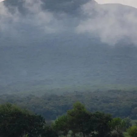 Feriegård Quattro Pini *