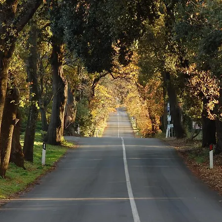 Feriegård Quattro Pini *