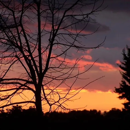 Feriegård Quattro Pini