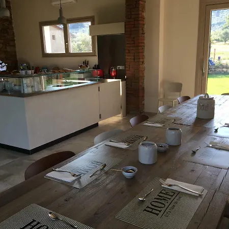 Quattro Pini * Castagneto Carducci