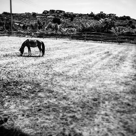 Feriegård Quattro Pini *