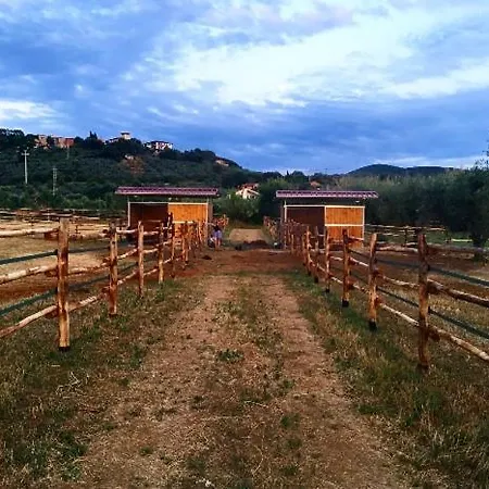 Feriegård Quattro Pini *