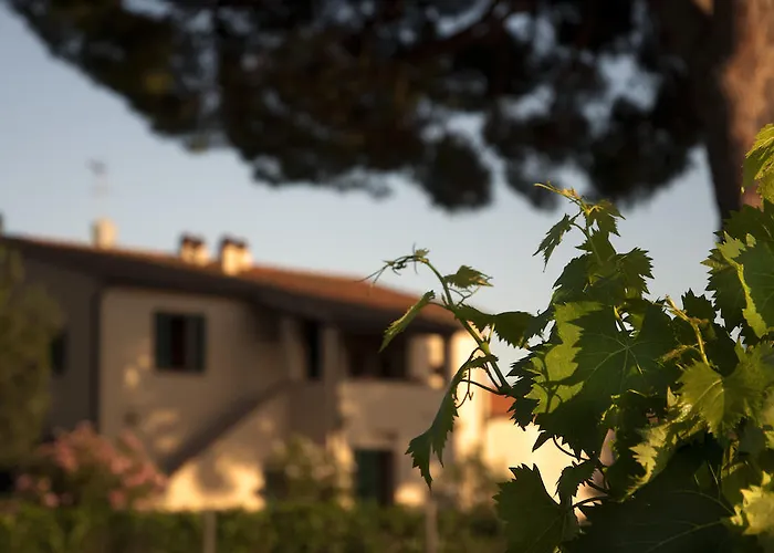 Agroturismo Quattro Pini Castagneto Carducci