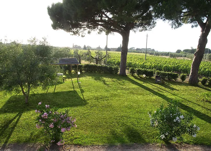 Quattro Pini Castagneto Carducci