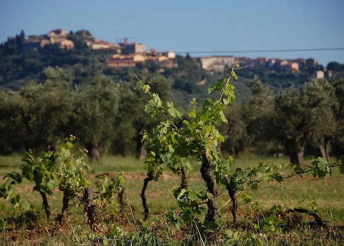Agroturismo Quattro Pini Castagneto Carducci