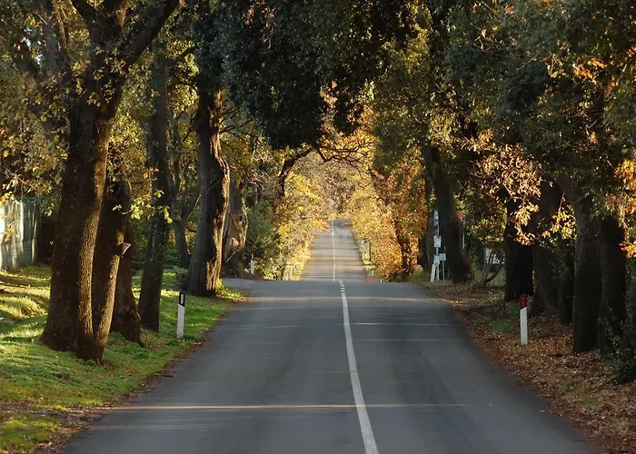 Agroturismo Quattro Pini *