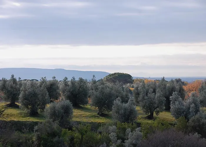 Quattro Pini Castagneto Carducci